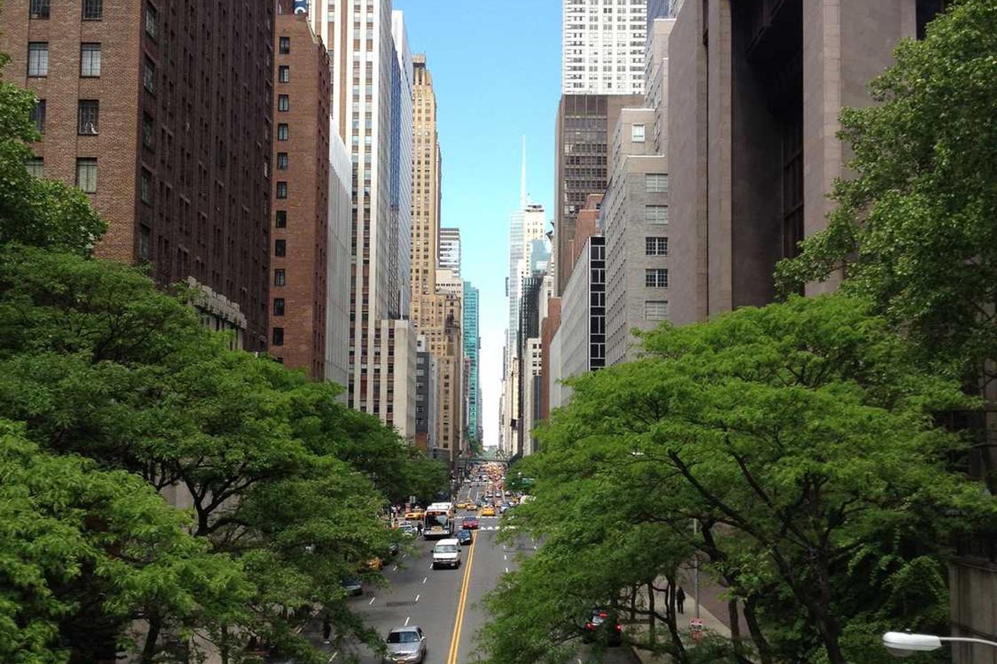 Tempora esse excepturi quisquam magnam