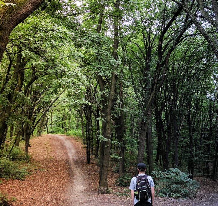 árbol de decisiones